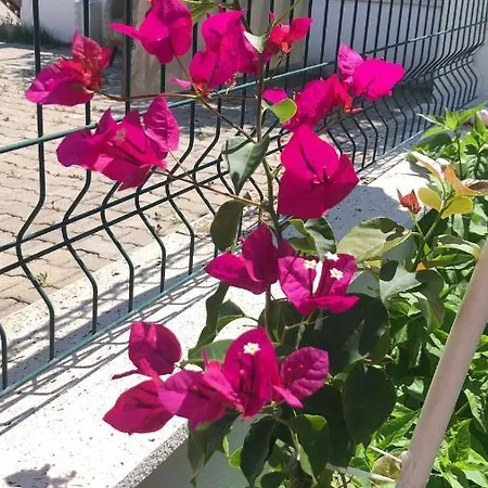 Aparthotel Neseli Bahce Cafe Seferihisar