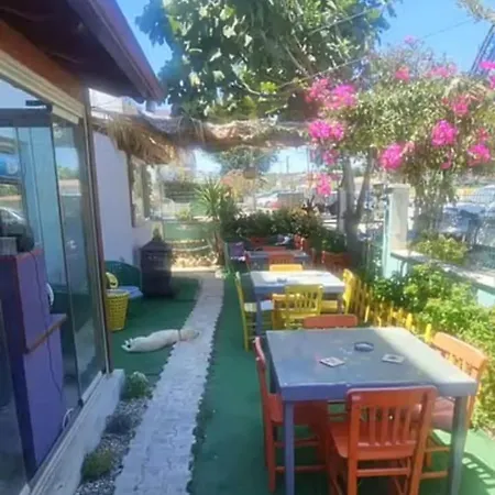 Neseli Bahce Cafe Seferihisar