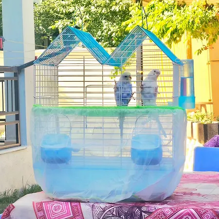 Aparthotel Neseli Bahce Cafe Seferihisar