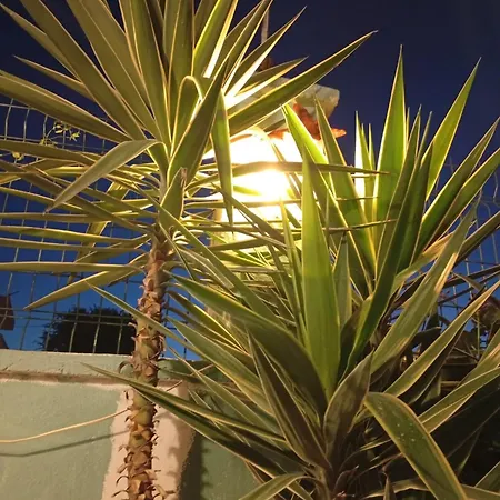 Neseli Bahce Cafe * Seferihisar