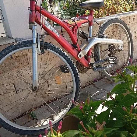 Apartmanhotel Neseli Bahce Cafe