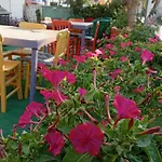 Neşelı Bahçe Cafe *