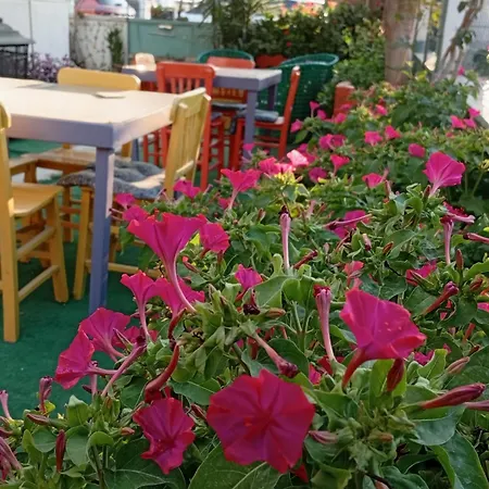 Neseli Bahce Cafe *